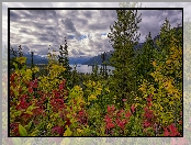 Drzewa, Góry, Jezioro, Jesień, Muncho Lake, Kanada, Liście, Kolorowe
