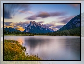 Jezioro, Alberta, Las, Park Narodowy Banff, Drzewa, Kanada, Vermilion Lakes, Góry