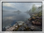 Jezioro Ładoga, Karelia, Brzeg, Rosja, Mgła, Skały, Kamienie, Drzewa