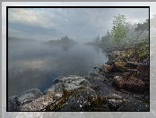 Jezioro Ładoga, Karelia, Brzeg, Rosja, Mgła, Skały, Kamienie, Drzewa
