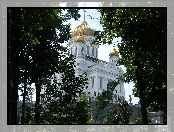 Drzewa, Katedra, Złote, Kopuły, Moskwa