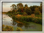 Rośliny, Stan Iowa, Jezioro, Stany Zjednoczone, Drzewa, Krzewy, Prairie Rose Lake