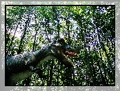 Las, Drzewa, Dinozaur