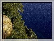 Morze, Balkon, Drzewa