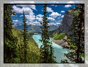 Kanada, Lasy, Drzewa, Park Narodowy Banff, Jezioro Moraine, Góry, Drzewa