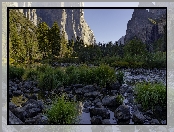 Drzewa, Park Narodowy Yosemite, Góry Sierra Nevada, Dolina, Stany Zjednoczone, Merced River, Trawy, Kalifornia, Rzeka, Yosemite Valley, Kępki, Kamienie