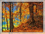 Drzewa, Park, Nad Jeziorem, Opadłe Liście