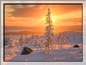 Drzewa, Zachód słońca, Rosja, Kamienie, Zima, Ośnieżone, Półwysep Kolski