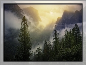Park Narodowy Yosemite, Dolina, Drzewa, Mgła, Stany Zjednoczone, Yosemite Valley, Stan Kalifornia, Góry, Lasy
