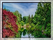 Park, Drzewa, Jezioro