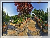Park, Drzewa, Kwiaty
