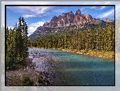 Park Narodowy Banff, Prowincja Alberta, Drzewa, Kanada, Góry, Las, Rzeka, Bow River