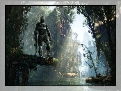 Drzewa, Crysis 3, Uzbrojona, Postać, Woda