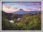 Park Narodowy Egmont, Drzewa, Mount Taranaki, Nowa Zelandia, Lasy, Rzeka, Góra, Wyspa Północna