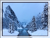 Kanada, Zima, Świerki, Prowincja Alberta, Park Narodowy Banff, Góry, Jezioro Lake Louise