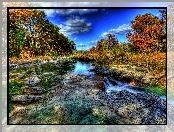 Rzeka, Drzewa, HDR