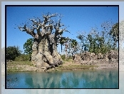 Niebo, Drzewa, Baobab, Rzeka, Skałki