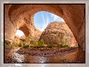 Coyote Gulch, Utah, Skały, Stany Zjednoczone, Drzewa, Rzeka, Łuk Jacoba Hamblina