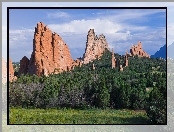 Skały, Drzewa, Colorado