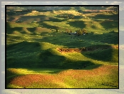 Drzewa, Stan Waszyngton, Stany Zjednoczone, Domy, Pola, Steptoe Butte State Park, Region Palouse