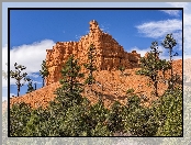 Drzewa, Park Narodowy Bryce Canyon, Stan Utah, Skały, Stany Zjednoczone