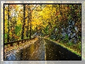 Szosa, Drzewa, Liście