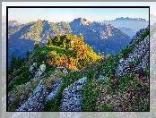 Góra Saukarkopf, Trawa, Niskie Taury, Austria, Góry, Skały, Krzyż, Drzewa