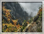Drzewa, Góry, Mgła, Wąwóz, Skały