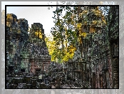 Drzewa, Kambodża, Angkor wat, Świątynia, Ruiny