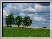 Drzewa, Chmury, Wiosna, Pole
