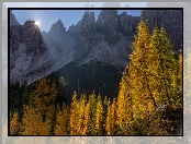 Drzewa, Góry, Dolomity, Włochy, Jesień