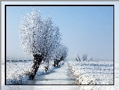 Śnieg, Zamarznięta, Rzeka, Drzewa, Pola
