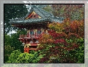 Drzewa, Dom, Złote, Zdobienia, Japonia