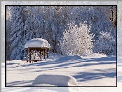 Zima, Drzewa, Altanka