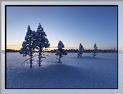 Finlandia, Lasy, Gmina Ylitornio, Zima, Laponia, Zachód Słońca, Pola, Drzewa