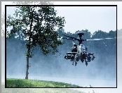 Drzewo, Helikopter, Boeing, Ah-64, Apache