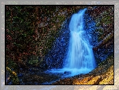 Wodospad, Horni Mesto, Czechy, Resov Falls, Skały, Rośliny, Drzewo