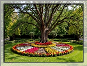 Rabaty Kwiaty, Park, Drzewo