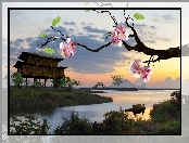 Rzeka, Na, Japonia, Dom, Słońca, Zachód, Most, Palach, Kwitnące, Drzewo