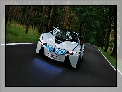 Dynamics, Vision, BMW, 2009, Efficient, Concept