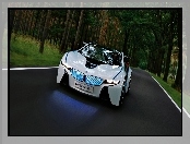 Dynamics, Vision, BMW, 2009, Efficient, Concept