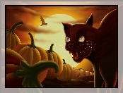 Kot, Dynie, Halloween