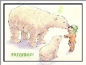 niedźwiedzie, dziecko, Yotsubato
