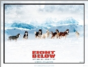 Antarktyda, Eight Below