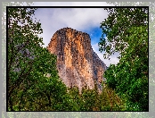 El Capitan, Stany Zjednoczone, Góra, Drzewa, Park Narodowy Yosemite, Kalifornia