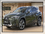 Lexus UX 300e, Elektryczny