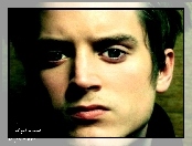 Elijah Wood, zielone oczy, twarz