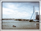 Erasmus Bridge, Rzeka, Rotterdam, Holandia