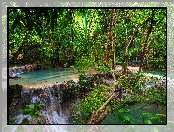 Las, Prowincja Kanchanaburi, Tajlandia, Wodospad Erawan waterfall, Drzewa, Krzewy, Park Narodowy Erawan