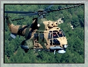 Eurocopter AS-532 Cougar, Kamuflaż